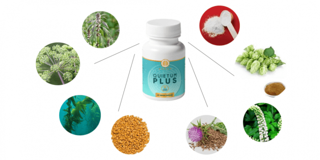 quietum plus ingredients