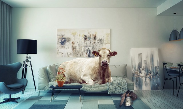 Sleeping on Couch: Is it a Good or Bad Habit? 4 sleeping on couch advantages