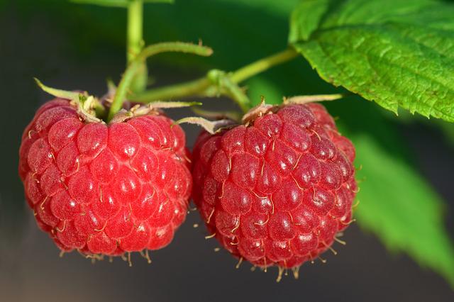 Raspberries Health Benefits