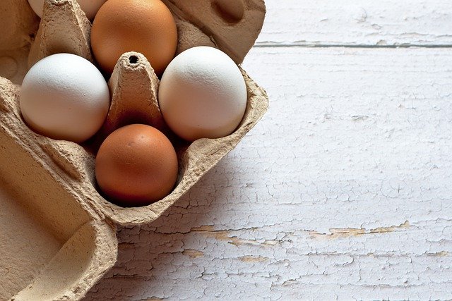 brown eggs or white eggs