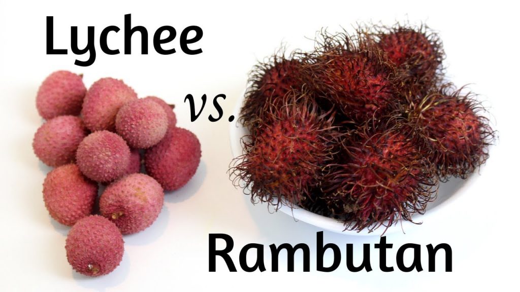 lychee vs rambutan