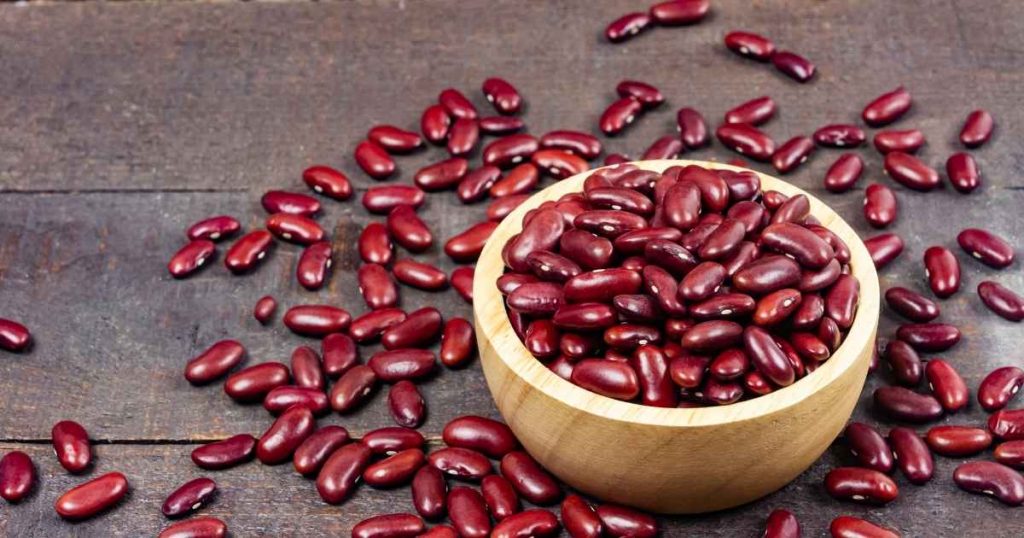 Kidney Beans Health Benefits, Nutrients, Side Effects, Recipes, and More