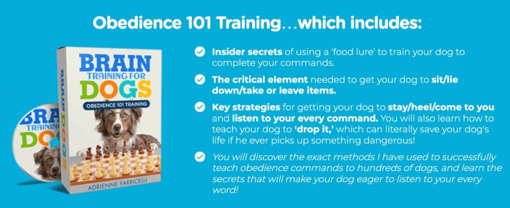 obedience for dog training