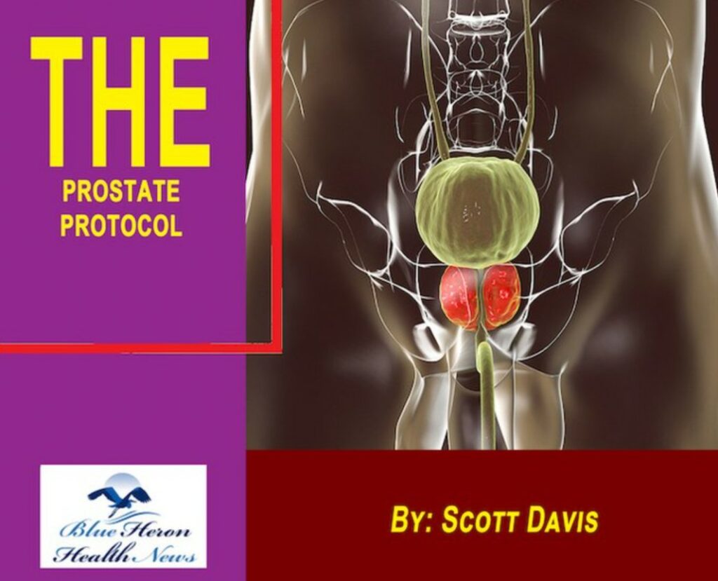 prostate protocol review
