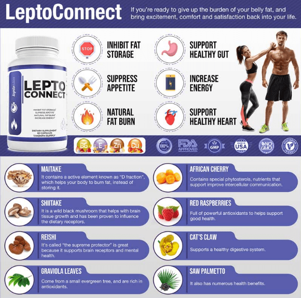 leptoconnect review leptoconnect ingredients