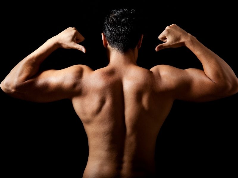 How Important is Nutrition to build arm muscle