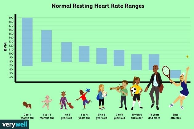 resting heart rate
