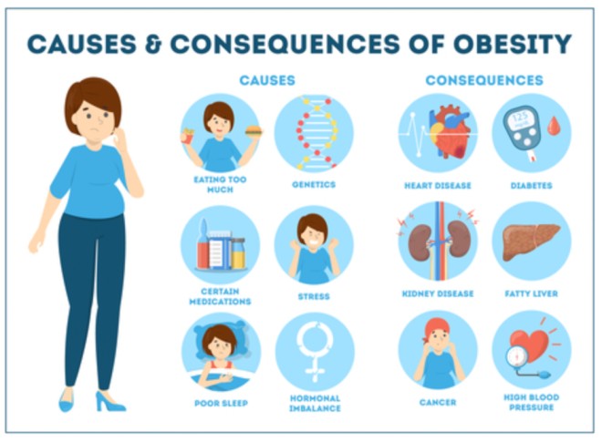 obesity causes and consequences