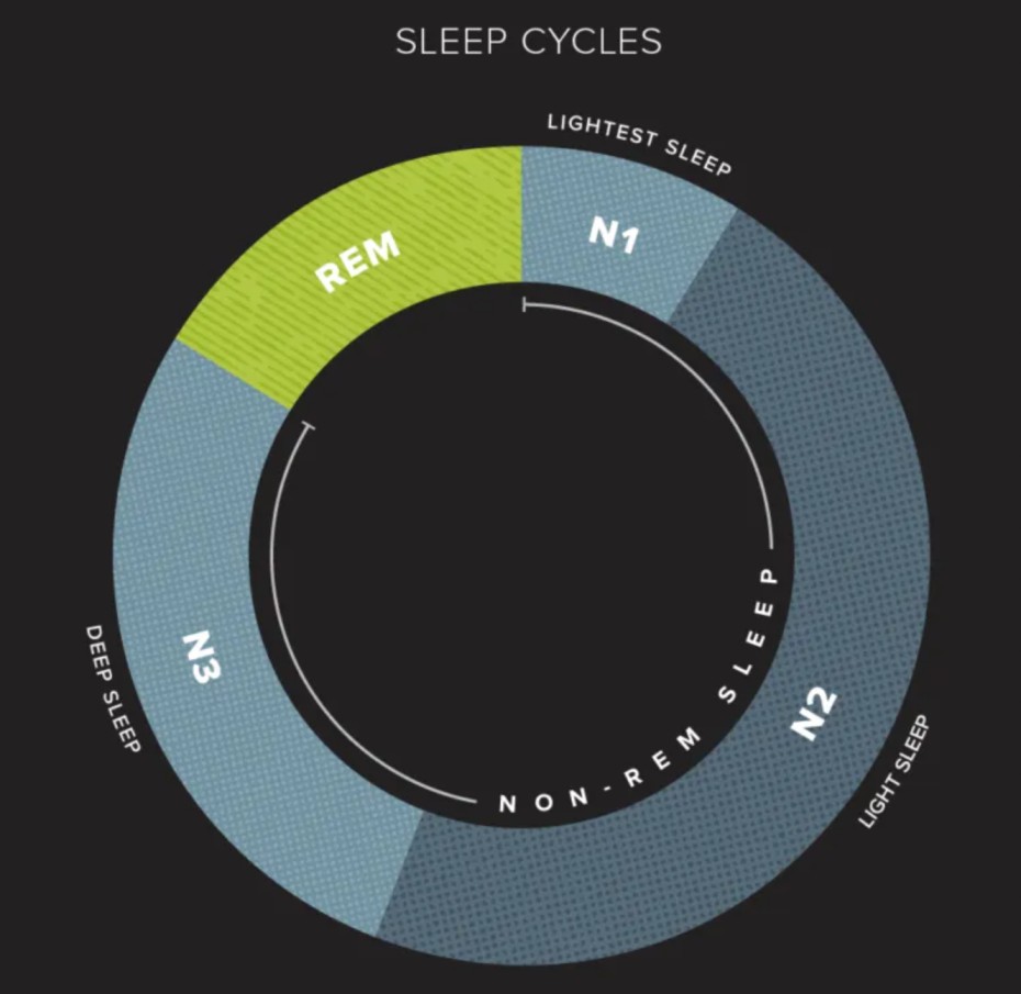 sleep cycle