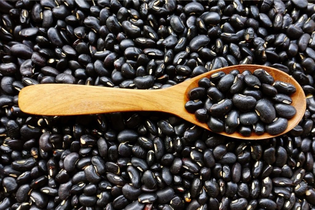 Black Beans Health Benefits