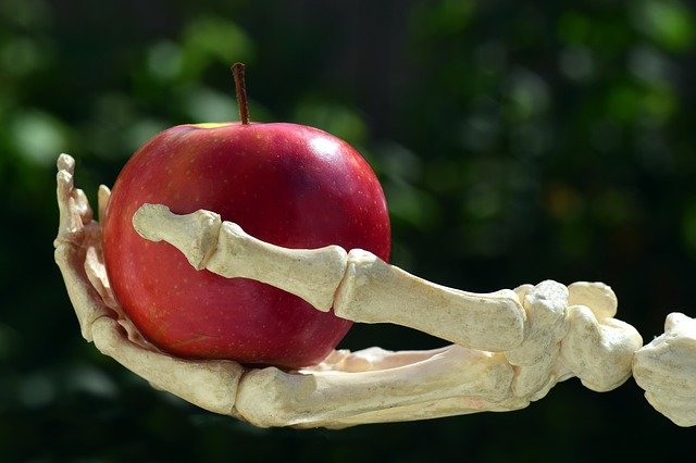 The Definitive Food Guide to Healthy Bones