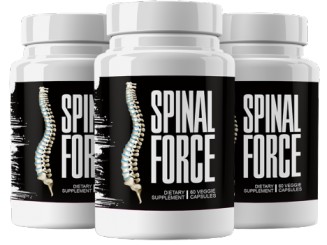 Spinal Force Review