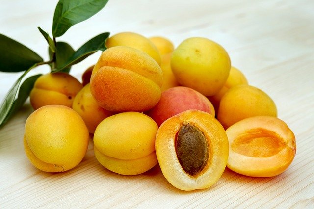 Apricots Health Benefits, Nutrients, Side Effects, Recipes, and More 1 apricots-health-benefits-nutrients-recipes