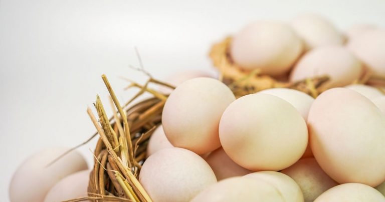 Eating Eggs Benefits, Recipes, Nutrition, Side Effects and More