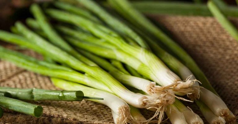 Green Onions Health Benefits, Nutrients, Side Effects, Recipes, and More