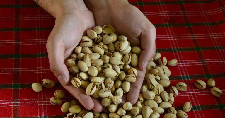 Pistachios Health Benefits, Nutrients, Side Effects, Recipes, and More