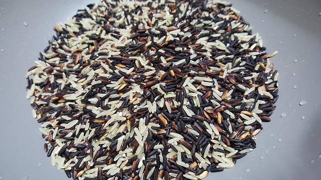 Brown Rice Health Benefits, Nutrients, Side Effects, Recipes, and More 1 Brown Rice Health Benefits, Nutrients, Side Effects, Recipes, and More