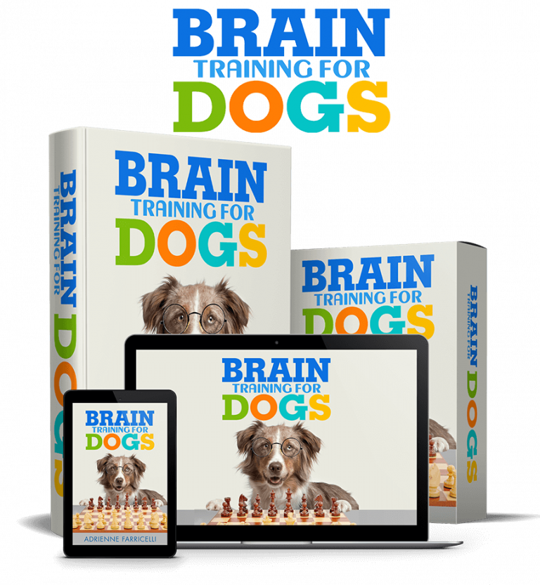 Brain Training for Dogs Review: Does It Really Assist in Creating a Genius Dog?