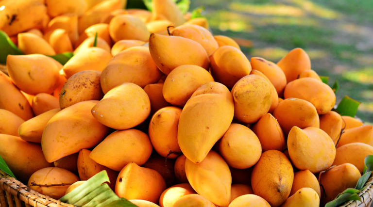 African Mango 7 african mango