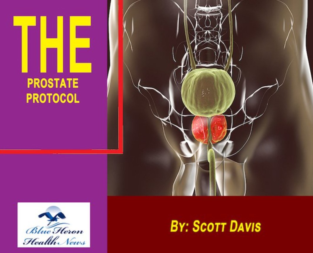 prostate protocol review